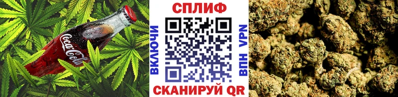 Canna-Cookies марихуана  Сясьстрой 