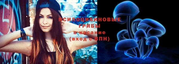 стафф Михайловка