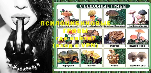спиды Алексеевка