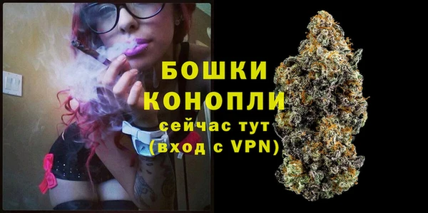 spice Аркадак