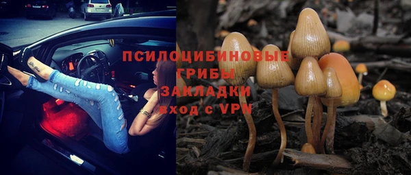 спиды Алексеевка
